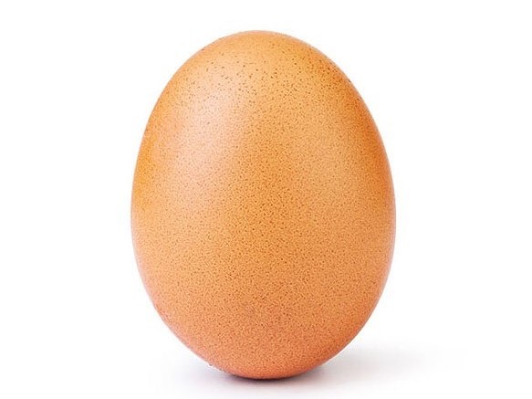 Image result for the egg instagram