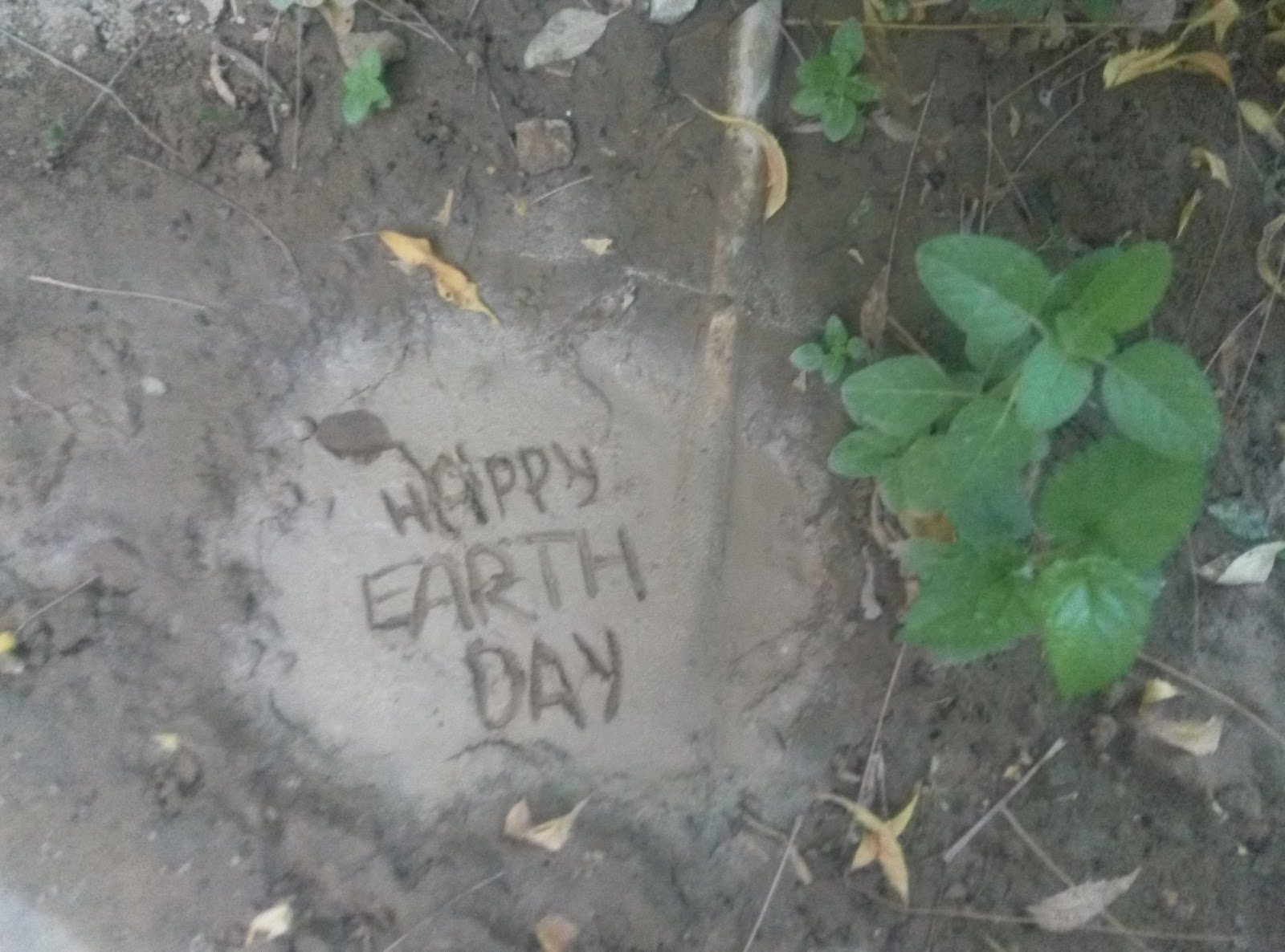 Image result for earth day