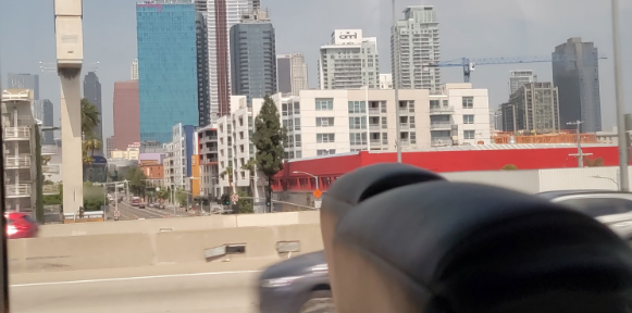 Los Angeles Protests