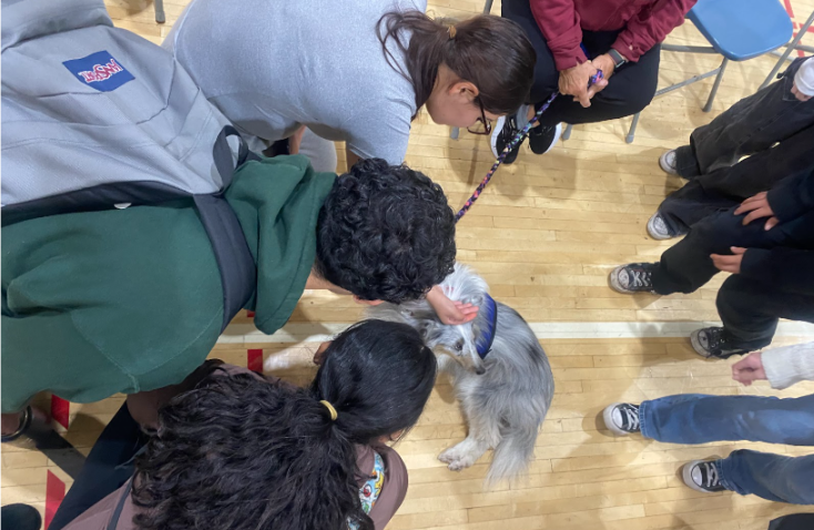 The Dog Days of Finals: From Stress to Smiles with Cal High's Furry Visitors