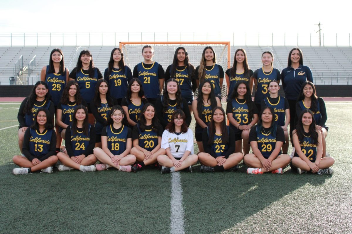 Sticks Up: Girls Lacrosse Tryouts This Friday!