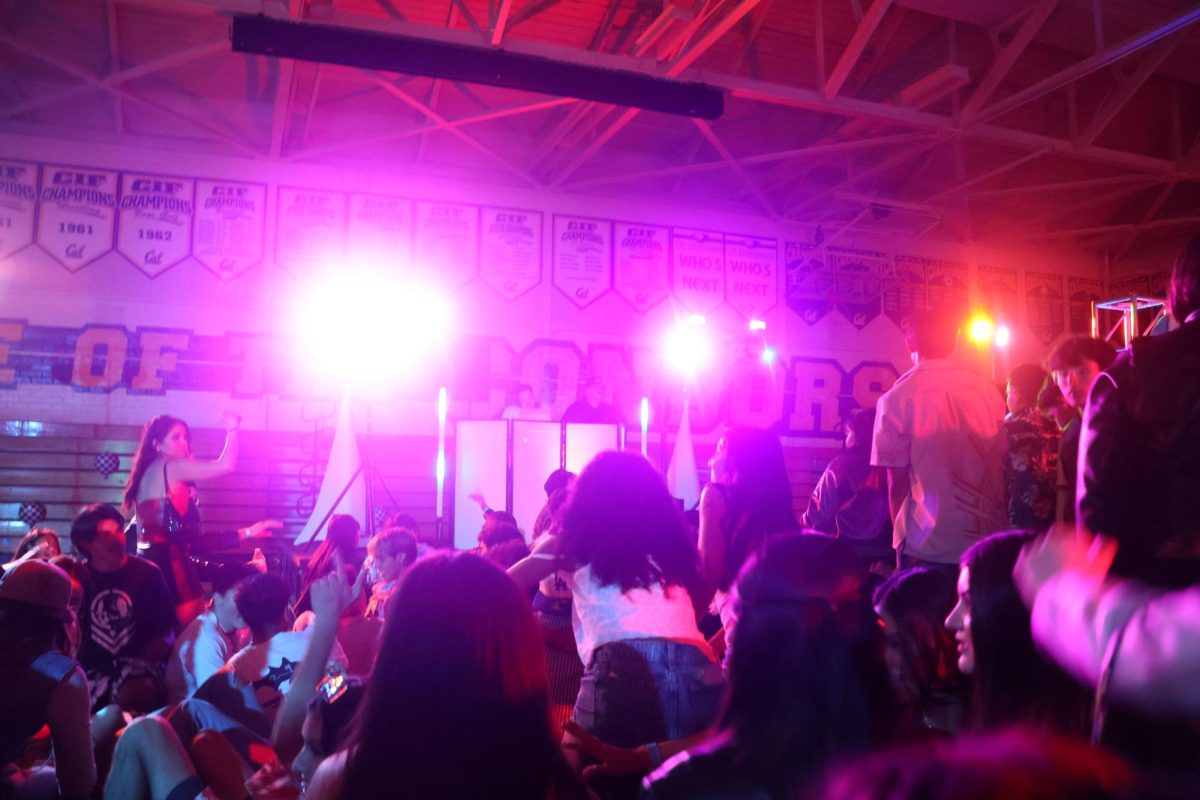 Surfboards, Leather Jackets, and a Crowded Dance floor: Inside the 'Ride or Tide' Madness